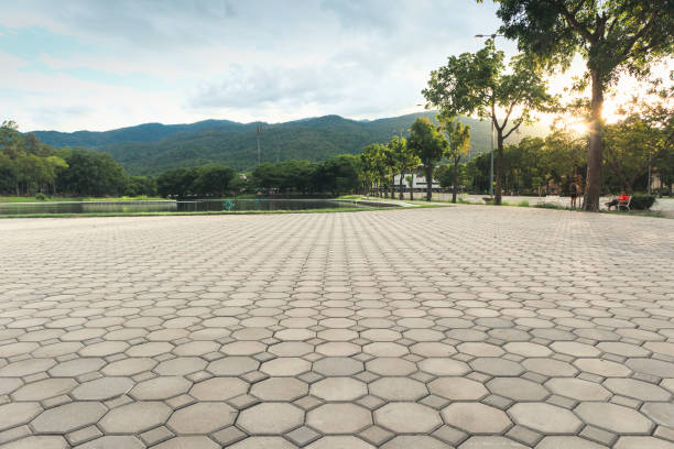 Best Commercial Driveway Pavers  in Palmyra, MO